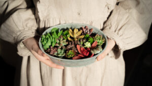 【簡単】お家で多肉植物の寄せ植えを作ろう【観葉植物】