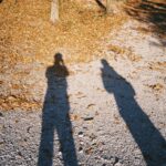 【作例52枚】Konica C35 efで撮影した写真まとめ【初心者おすすめ】