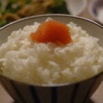 葉植えと故郷納税返礼品の話