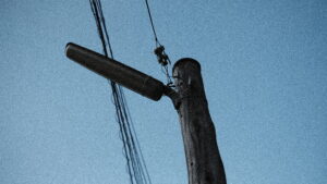 ホタテとビールは筋肉に良いと信じている