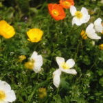 GWに地球を防衛していた話。