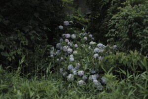 スマホの代わりにカレーに依存する話。