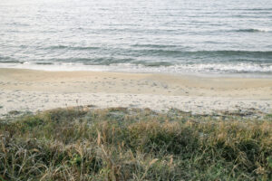 子供を育てる子供。