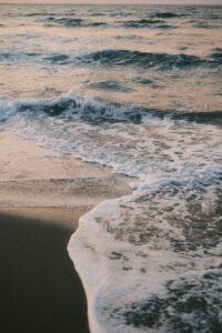 【作例36枚】FUJIFILM X-T5 + XF35mmF1.4 R レビュー